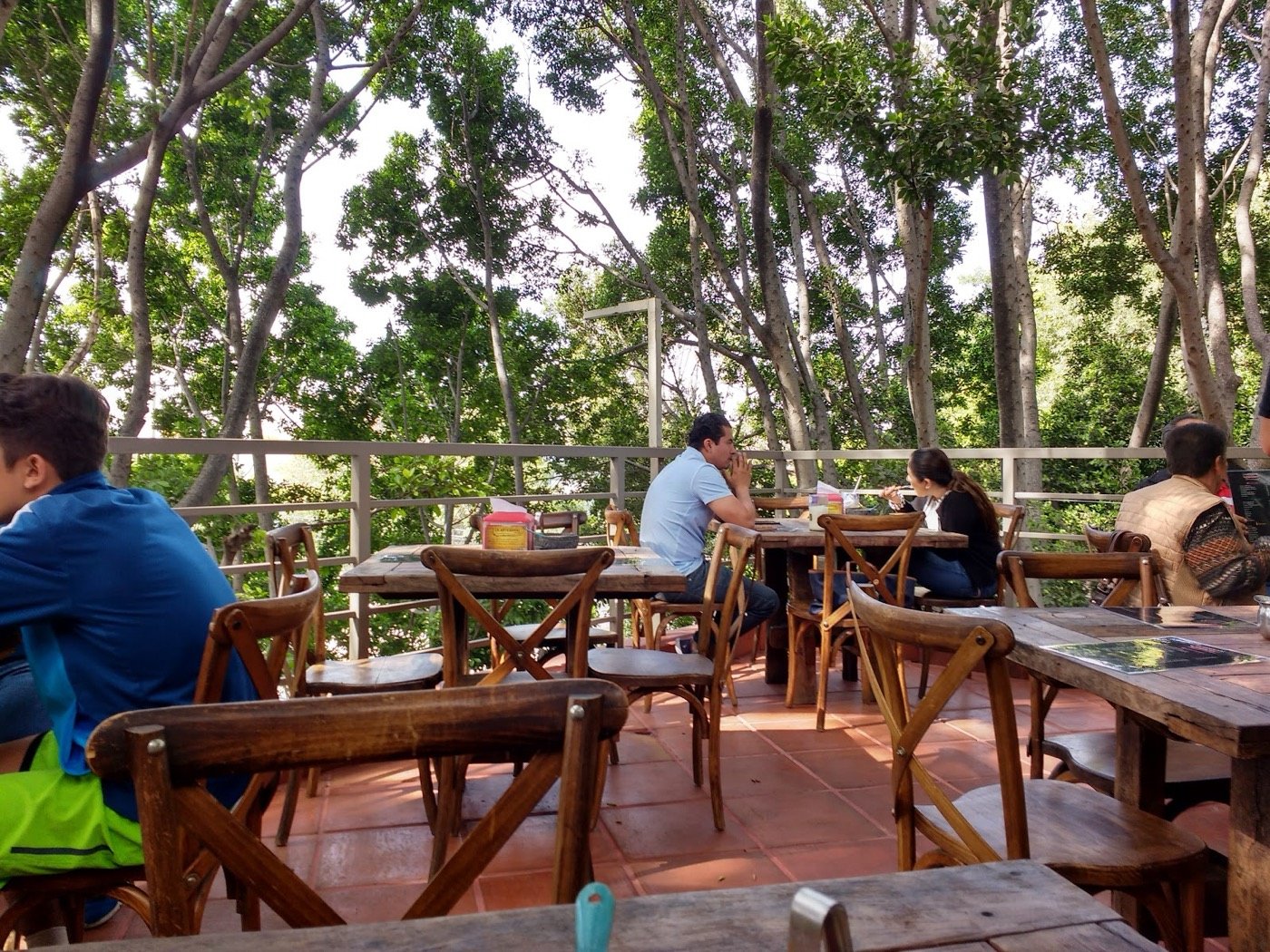 Terraza bajo los árboles